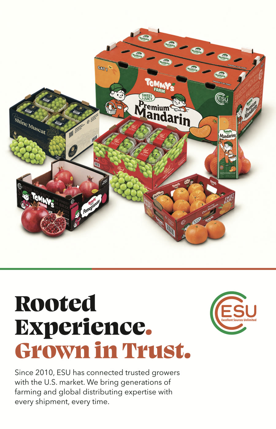 Front cover: Rooted Experience. Grown in Trust.