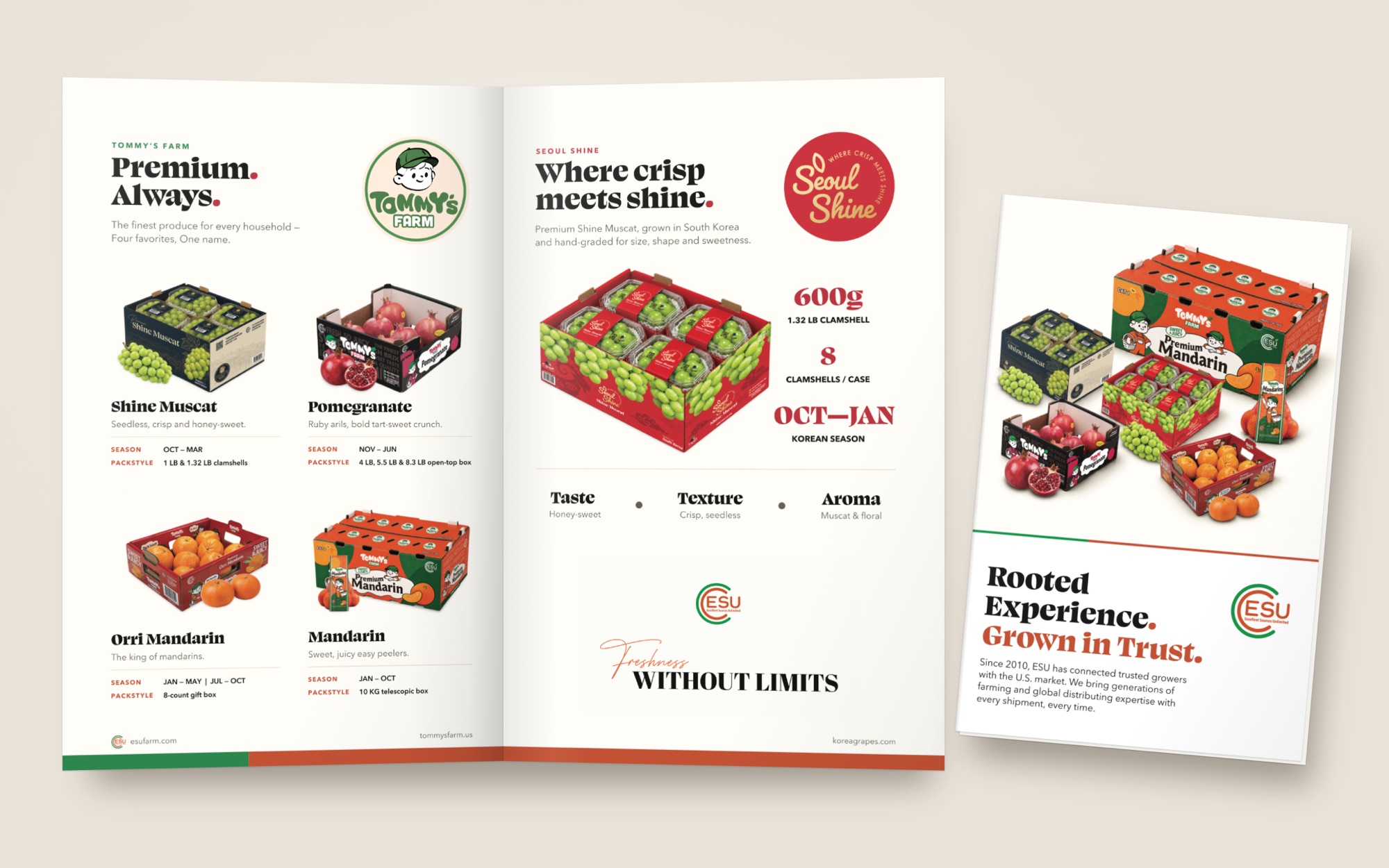 Bi-fold brochure mockup: inside spread open — the Tommy's Farm range and a Seoul Shine page — beside the closed front cover