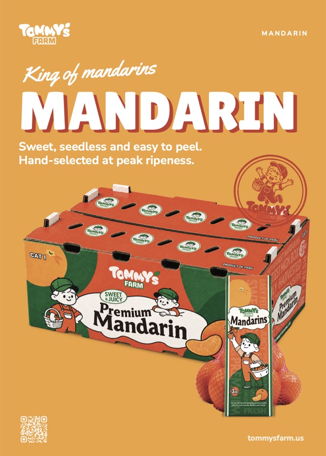 Mandarin one-pager front