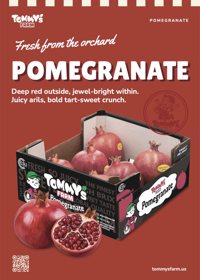 Pomegranate one-pager front
