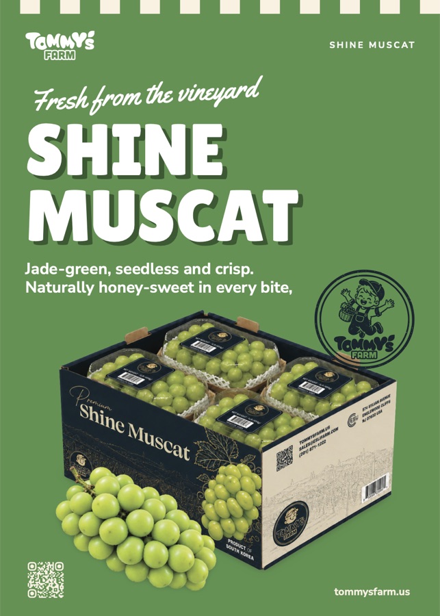 Shine Muscat one-pager front