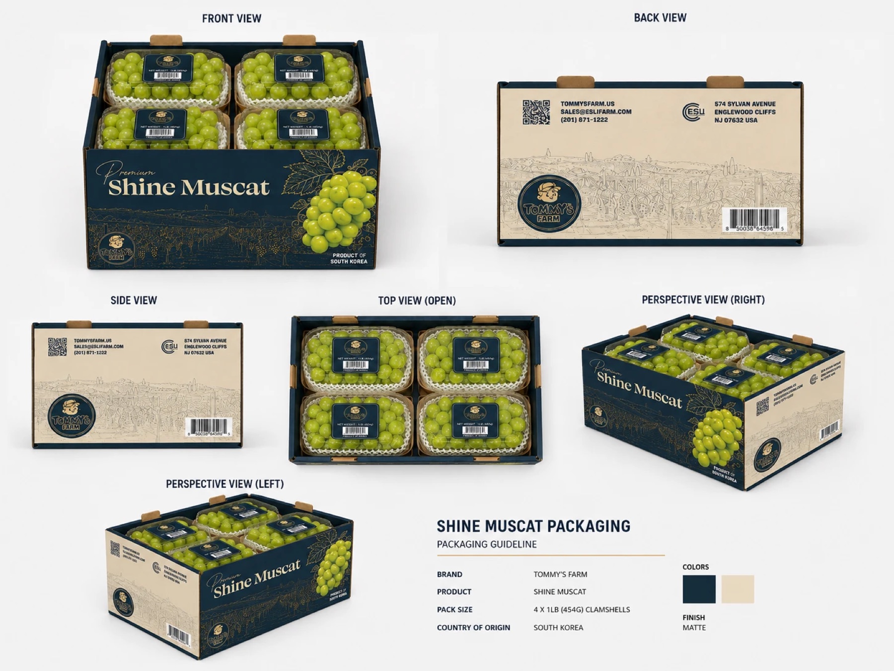 Tommy's Farm Premium Shine Muscat box: front, back, side, open top and two perspective views, with a packaging guideline panel
